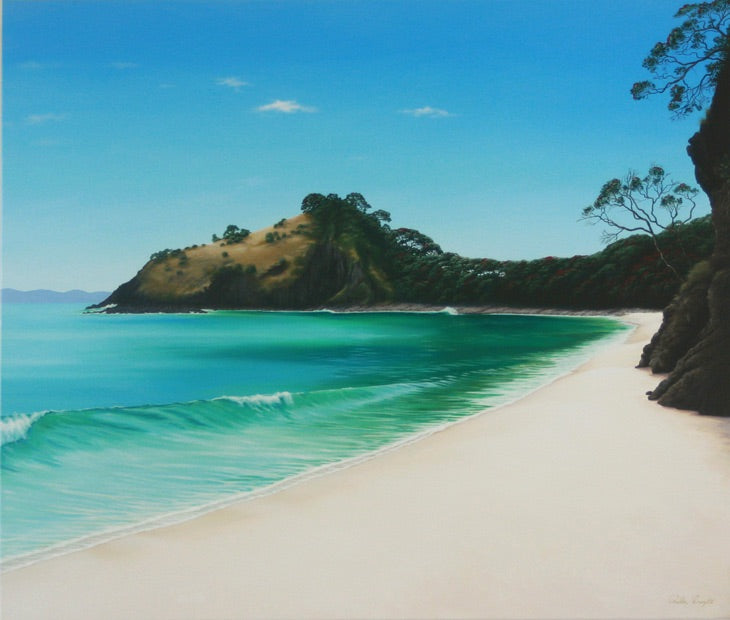 'New Chums Beach, Coromandel'