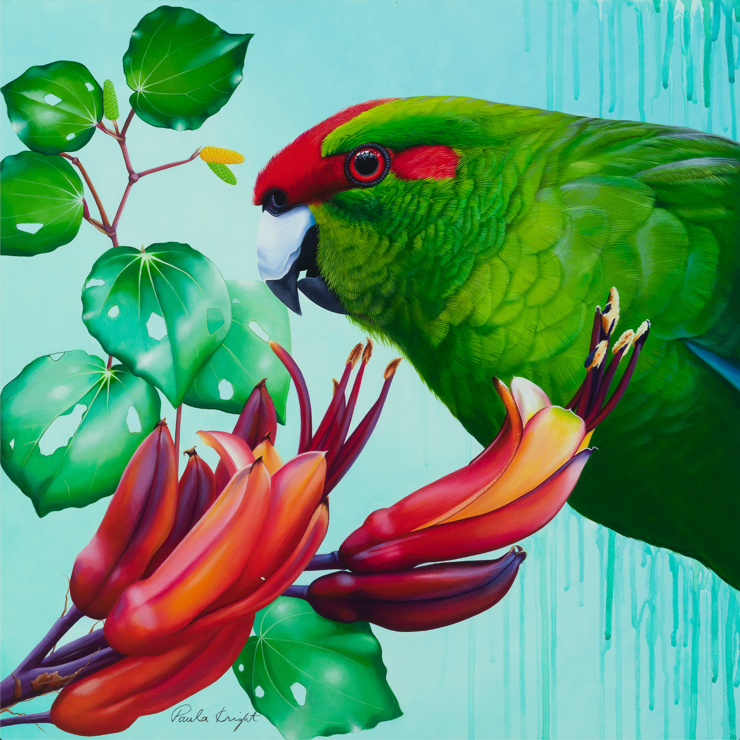 ‘New Zealand Red, Crowned Parakeet - Kakariki, Harakeke flower & Kawakawa leaves’