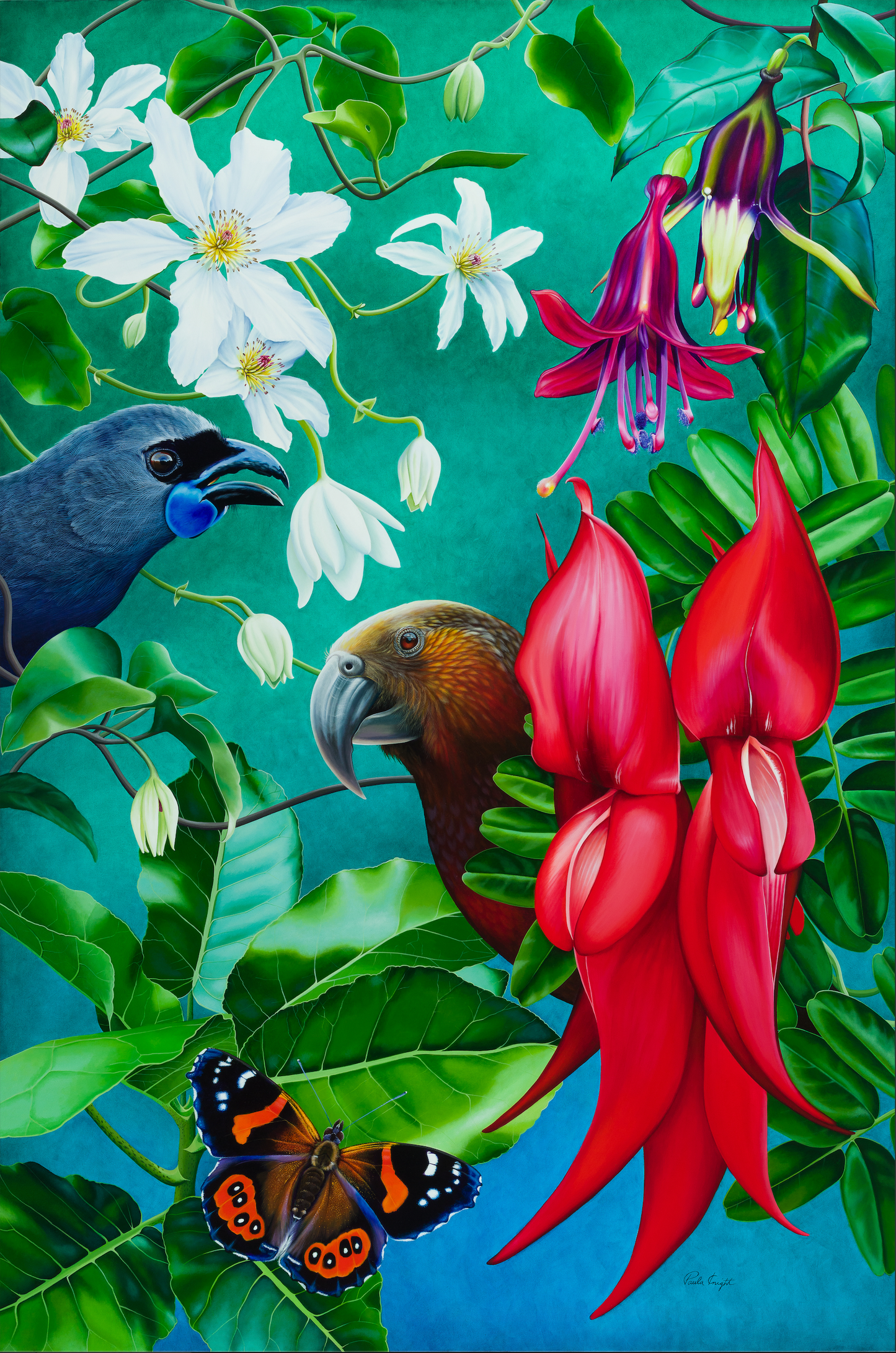 ‘New Zealand Kaka, Kokako, Red Admiral butterfly - Kahukura, Kakabeak, Clematis- Puawhananga, Tree fuchsia - Kotukutuku, Pukanui'